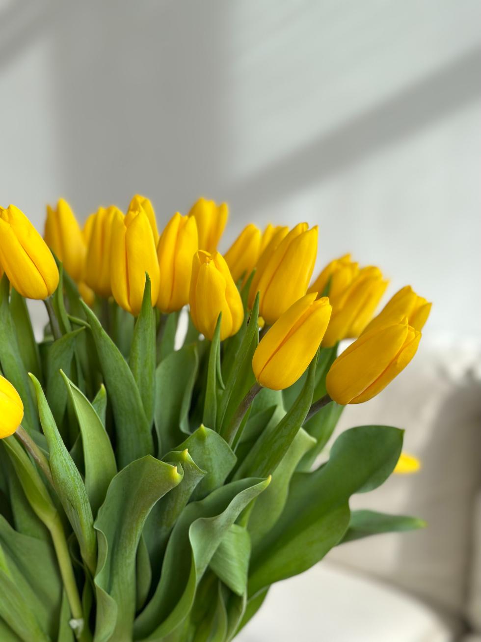 Букет Солнечный аромат